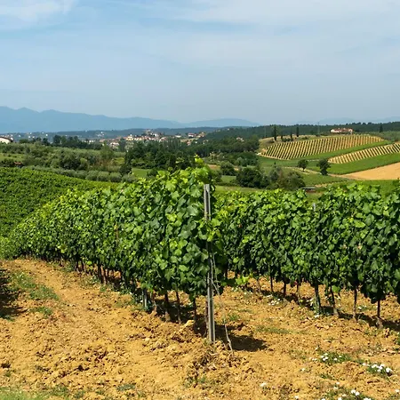 Amazing View On Hills With Shared Pool Lamporecchio