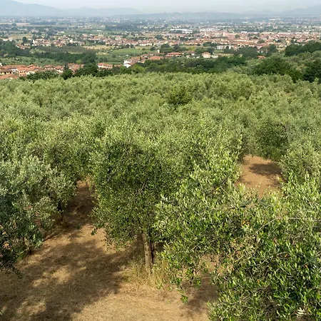 Διαμέρισμα Amazing View On Hills With Shared Pool